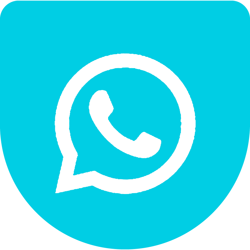 whatsapp icon